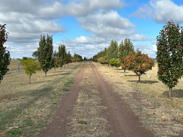Third view of Homely rural property listing, "Malu Park"/1100 Bowenville-Acland Road, Malu QLD 4403