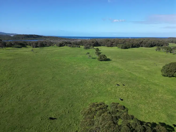 Sixth view of Homely rural property listing, 298 Parry Road, Parryville WA 6333