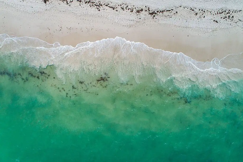 Main view of Homely house listing, 61 Reflection Boulevard, Jindalee WA 6036