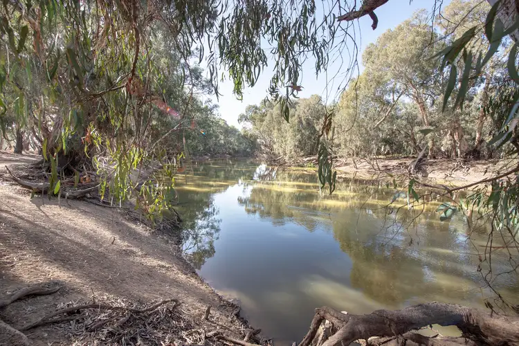 Second view of Homely rural property listing, 342 Pickering Lane, Speewa NSW 2735