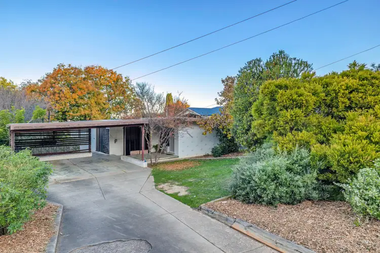 Main view of Homely house listing, 81 Meadow Street, Kooringal NSW 2650
