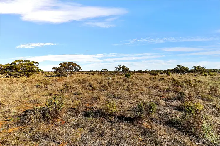 Fifth view of Homely land listing, LOT 3 Hunter Road, Swan Reach SA 5354