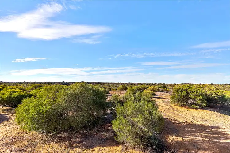 Seventh view of Homely land listing, LOT 3 Hunter Road, Swan Reach SA 5354