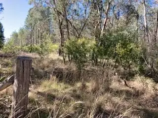 Fourth view of Homely rural property listing, Lot/8 Ottley Road, Coolatai NSW 2402