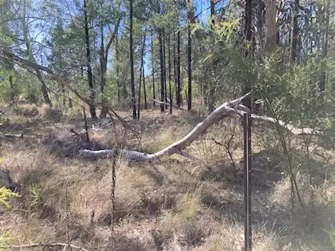 Fifth view of Homely rural property listing, Lot/8 Ottley Road, Coolatai NSW 2402