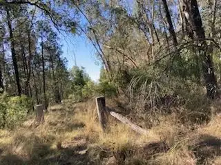 Sixth view of Homely rural property listing, Lot/8 Ottley Road, Coolatai NSW 2402