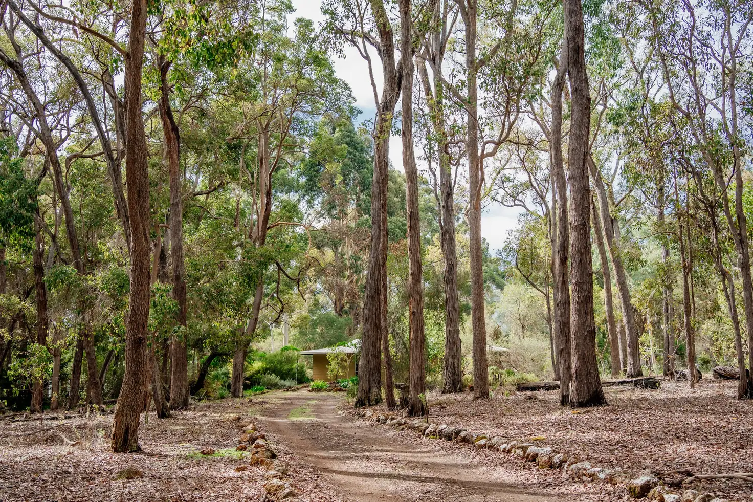 Main view of Homely house listing, 65 Blackwood River Drive, Nannup WA 6275