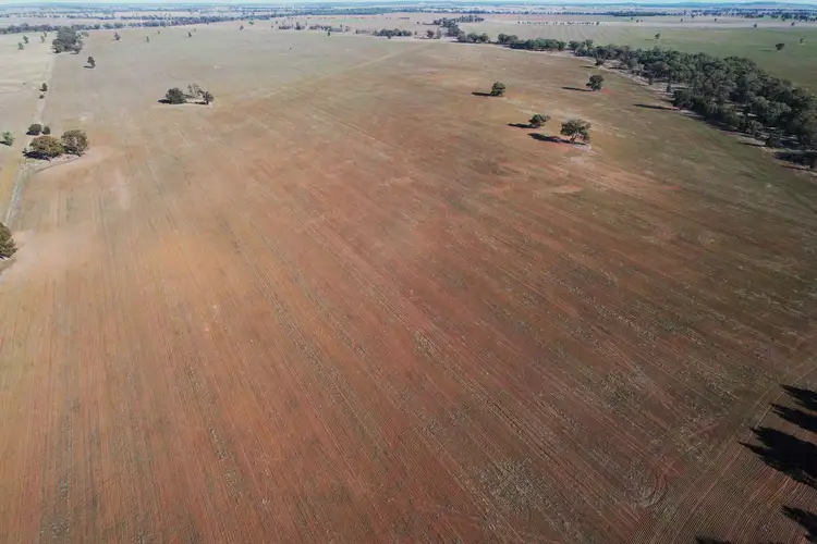 Third view of Homely rural property listing, 'Part Grassmere' Younga Plains Road, West Wyalong NSW 2671
