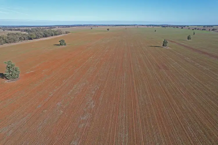 Fifth view of Homely rural property listing, 'Part Grassmere' Younga Plains Road, West Wyalong NSW 2671