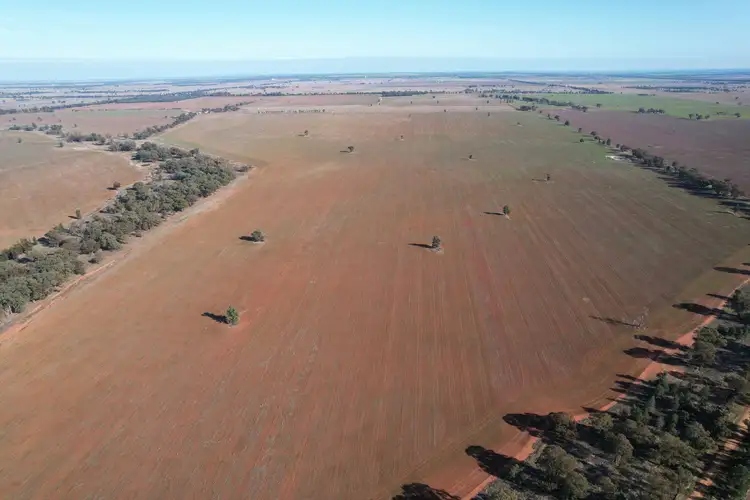 Sixth view of Homely rural property listing, 'Part Grassmere' Younga Plains Road, West Wyalong NSW 2671