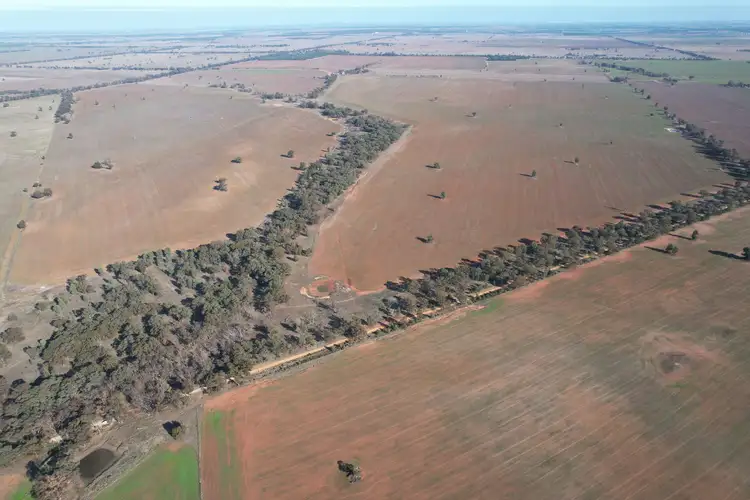 Seventh view of Homely rural property listing, 'Part Grassmere' Younga Plains Road, West Wyalong NSW 2671