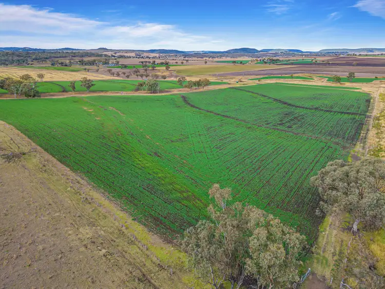 Fifth view of Homely rural property listing, "East Lynne" Upper Spring Creek Road, Spring Creek QLD 4361