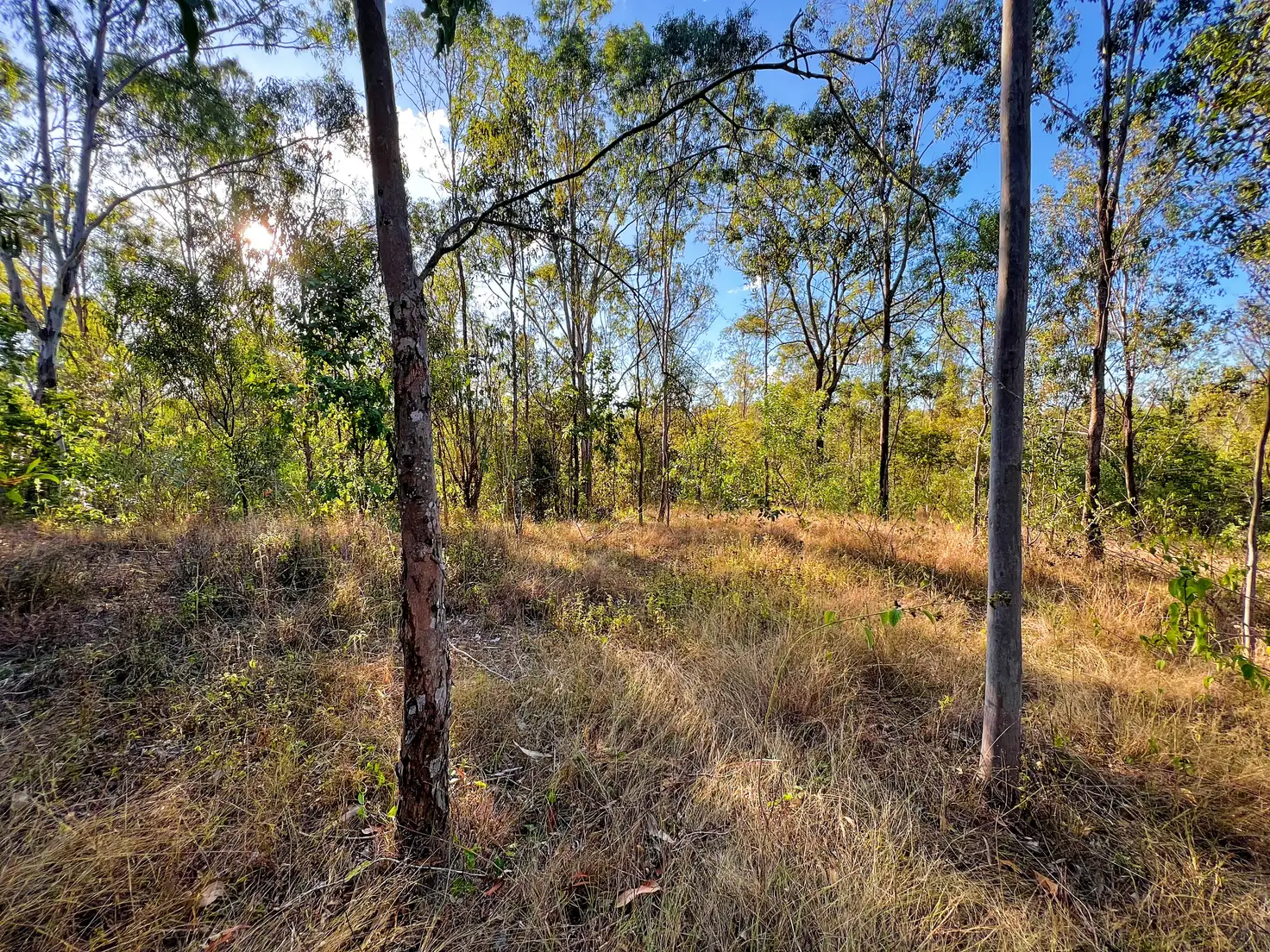 Main view of Homely land listing, LOT 124, 4528 Bundaberg Gin Gin Road, Gin Gin QLD 4671