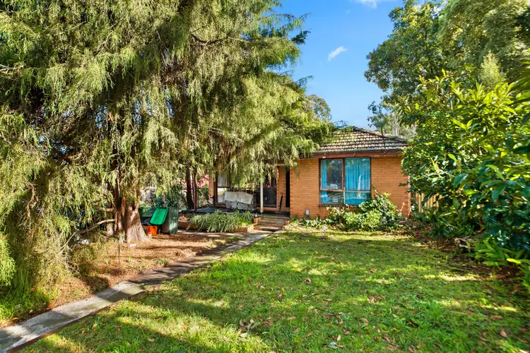 Main view of Homely house listing, 19 Miller Road, Heathmont VIC 3135
