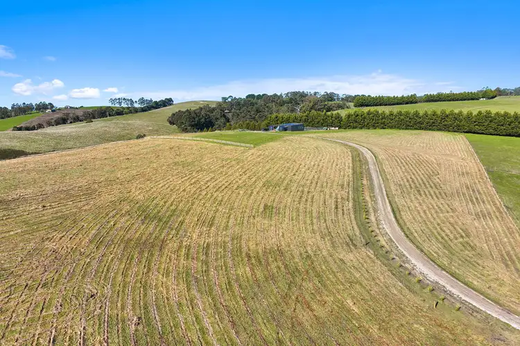 Fourth view of Homely rural property listing, 144 McGraths Road, Hernes Oak VIC 3825
