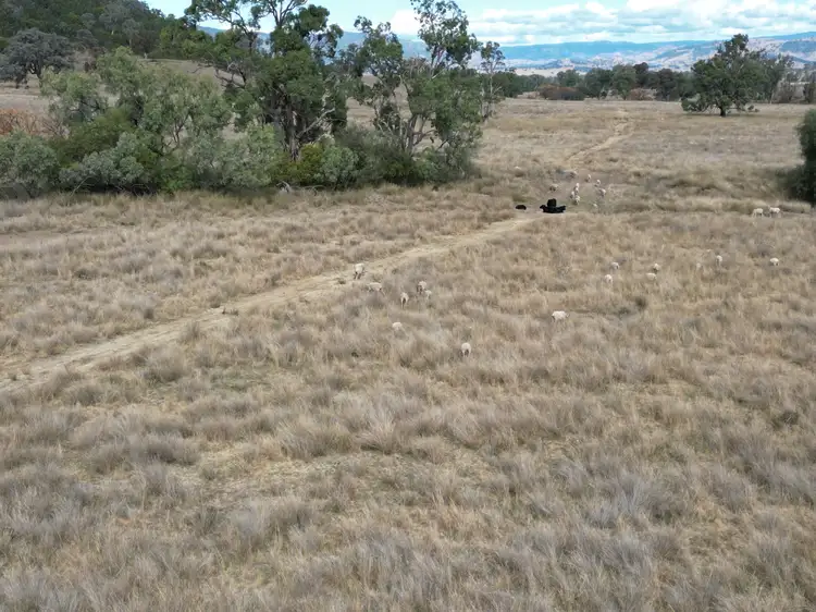 Third view of Homely rural property listing, "St Elmo" 7195 Terry Hie Hie Road, Bingara NSW 2404