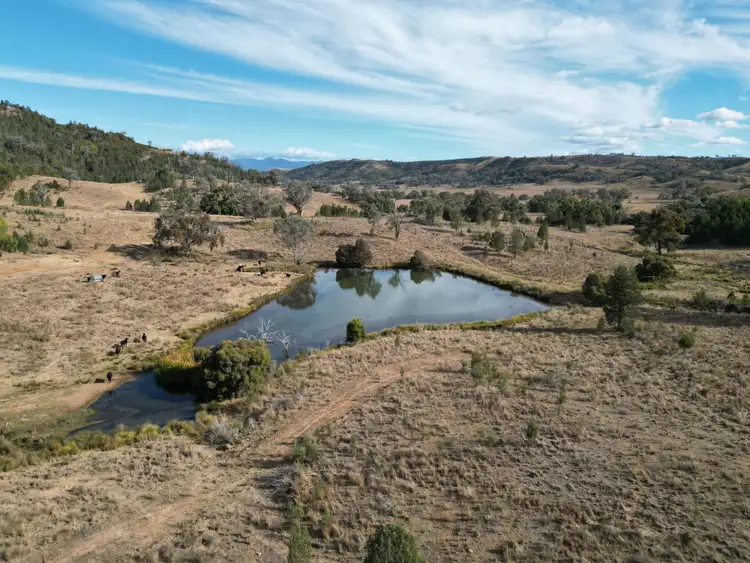 Seventh view of Homely rural property listing, "St Elmo" 7195 Terry Hie Hie Road, Bingara NSW 2404