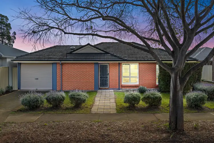 Main view of Homely house listing, 82 Lascelles Avenue, Warradale SA 5046
