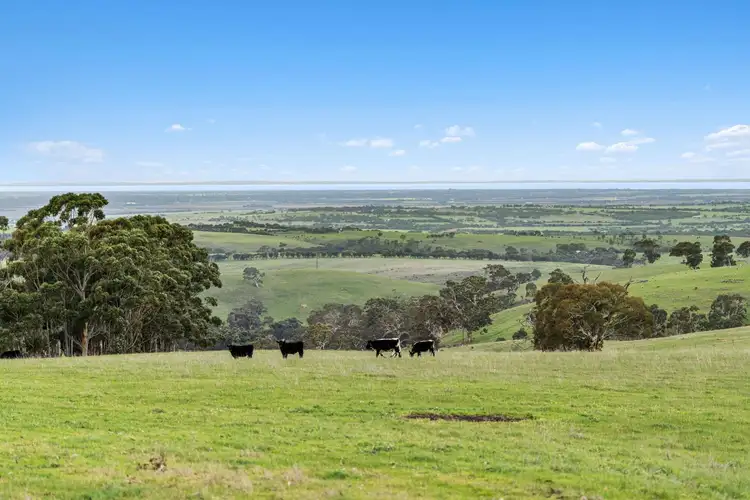 Second view of Homely house listing, 604 Hillview Road, Gemmells SA 5255