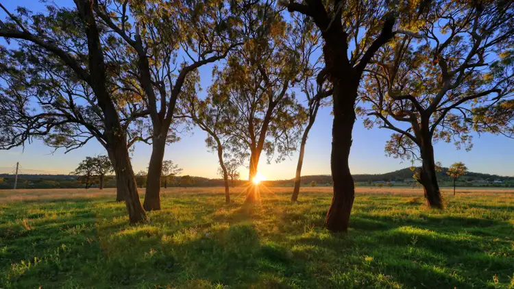 Third view of Homely land listing, Lot 6 Hanrahan Road, Finnie QLD 4350