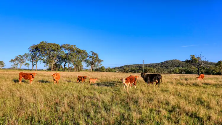 Fifth view of Homely land listing, Lot 6 Hanrahan Road, Finnie QLD 4350