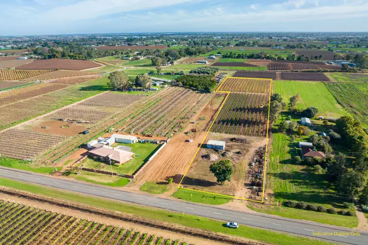 Second view of Homely rural property listing, 551 Irymple Avenue, Irymple VIC 3498
