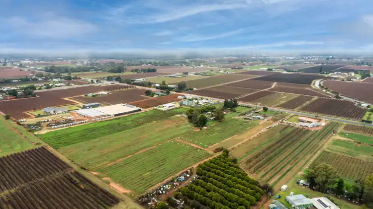 Third view of Homely rural property listing, 551 Irymple Avenue, Irymple VIC 3498