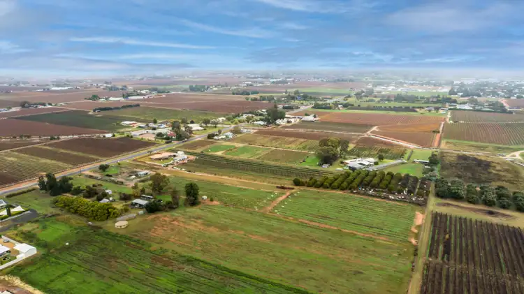Fourth view of Homely rural property listing, 551 Irymple Avenue, Irymple VIC 3498