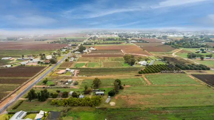 Fifth view of Homely rural property listing, 551 Irymple Avenue, Irymple VIC 3498