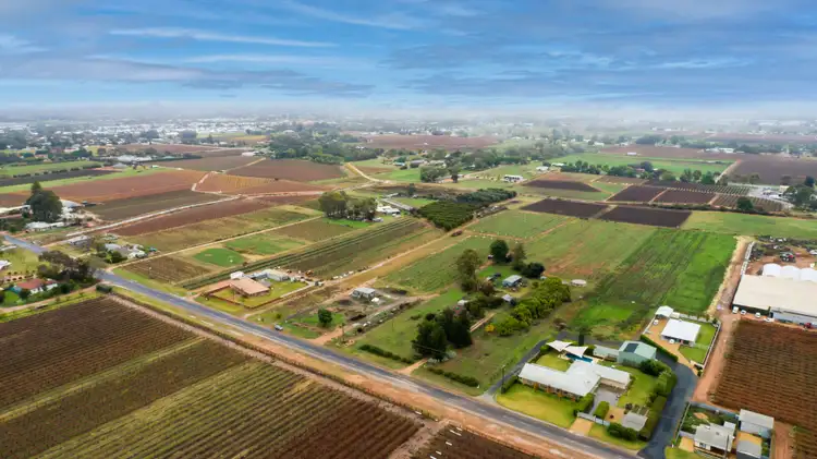 Sixth view of Homely rural property listing, 551 Irymple Avenue, Irymple VIC 3498
