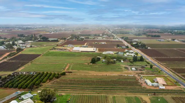 Seventh view of Homely rural property listing, 551 Irymple Avenue, Irymple VIC 3498