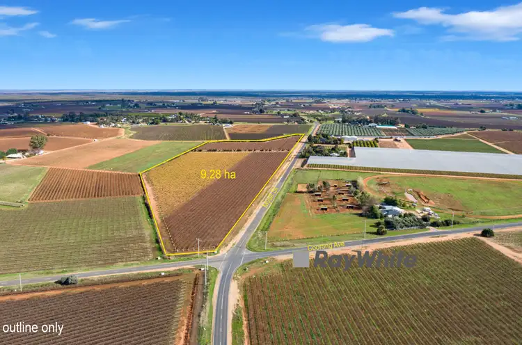 Main view of Homely rural property listing, 356 Myall Street, Red Cliffs VIC 3496