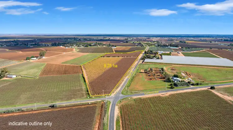 Third view of Homely rural property listing, 356 Myall Street, Red Cliffs VIC 3496