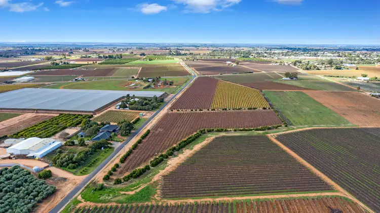 Fifth view of Homely rural property listing, 356 Myall Street, Red Cliffs VIC 3496