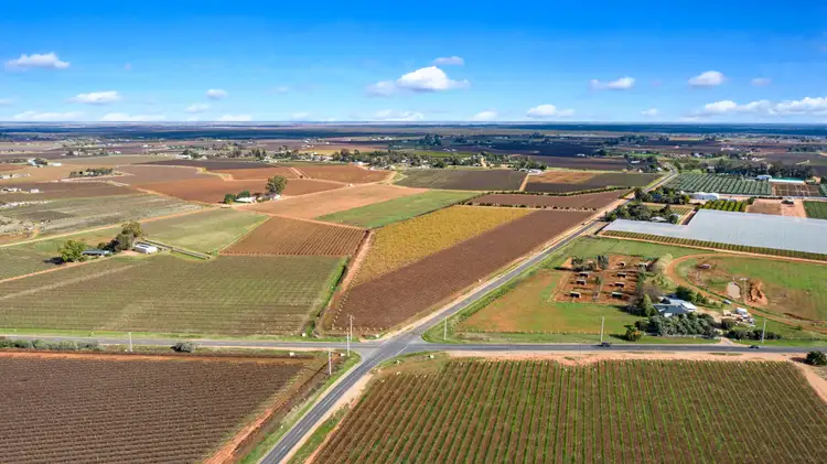 Sixth view of Homely rural property listing, 356 Myall Street, Red Cliffs VIC 3496