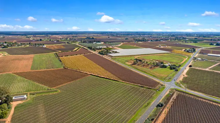 Seventh view of Homely rural property listing, 356 Myall Street, Red Cliffs VIC 3496