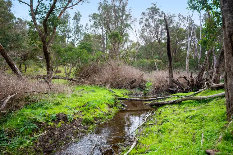 Sixth view of Homely rural property listing, 8425 Campbells Road, Bridgetown WA 6255