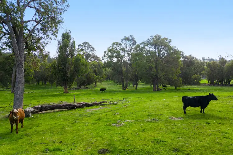 Seventh view of Homely rural property listing, 8425 Campbells Road, Bridgetown WA 6255