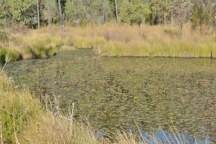 Second view of Homely rural property listing, 2888 BARADINE Road, Coonabarabran NSW 2357