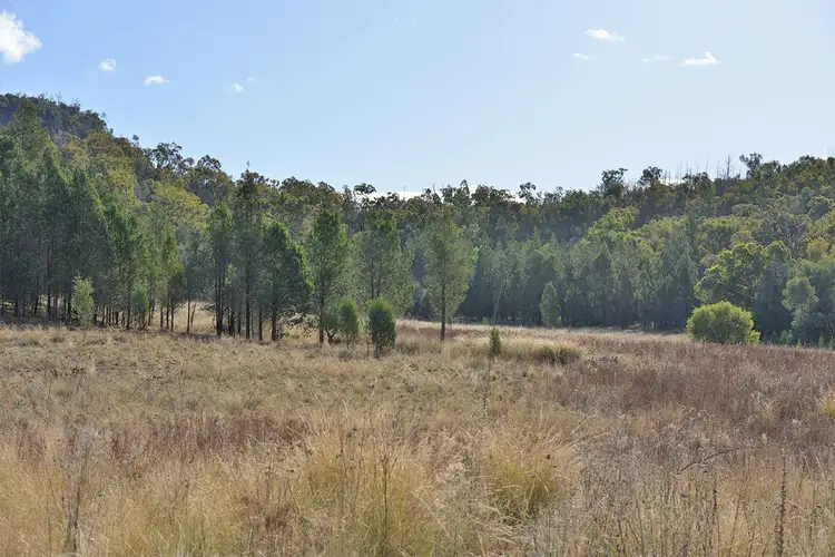 Third view of Homely rural property listing, 2888 BARADINE Road, Coonabarabran NSW 2357