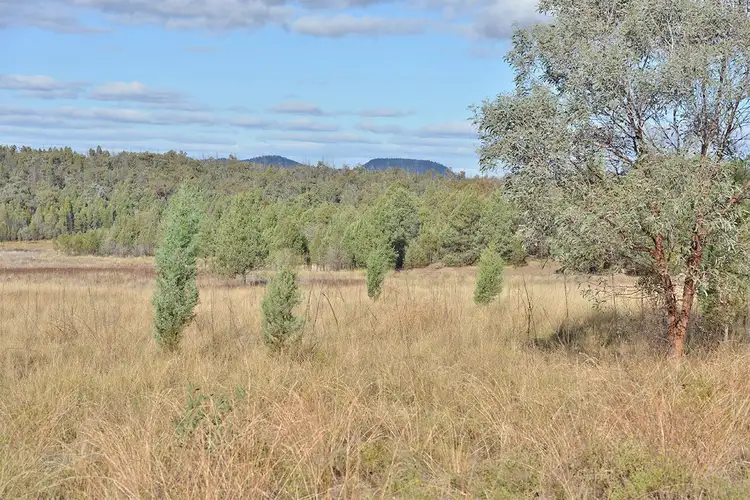 Fourth view of Homely rural property listing, 2888 BARADINE Road, Coonabarabran NSW 2357