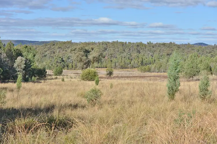 Fifth view of Homely rural property listing, 2888 BARADINE Road, Coonabarabran NSW 2357