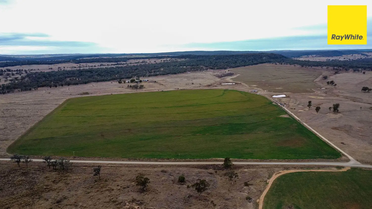 Main view of Homely rural property listing, 3133 Allan Cunningham Way, Warialda NSW 2402