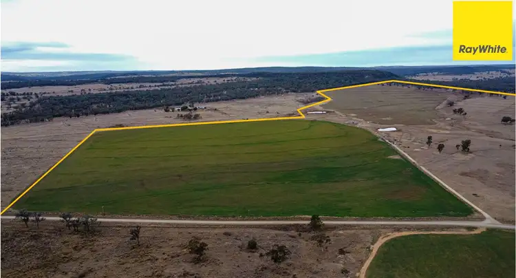 Second view of Homely rural property listing, 3133 Allan Cunningham Way, Warialda NSW 2402