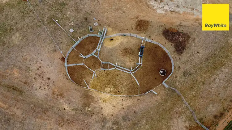 Fourth view of Homely rural property listing, 3133 Allan Cunningham Way, Warialda NSW 2402