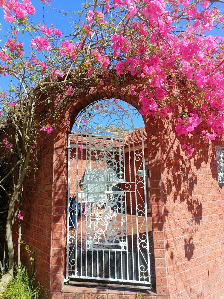 Second view of Homely house listing, 28 Hazelglen Avenue, Panania NSW 2213