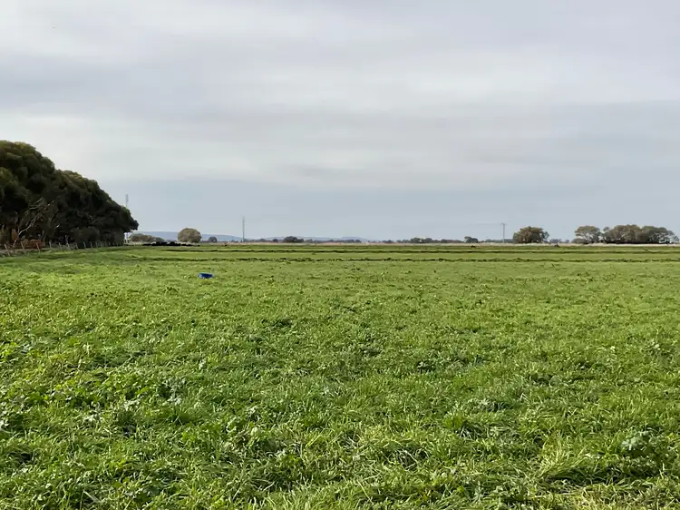 Second view of Homely rural property listing, Part Farm 1428 Glenn Road, Murrami NSW 2705