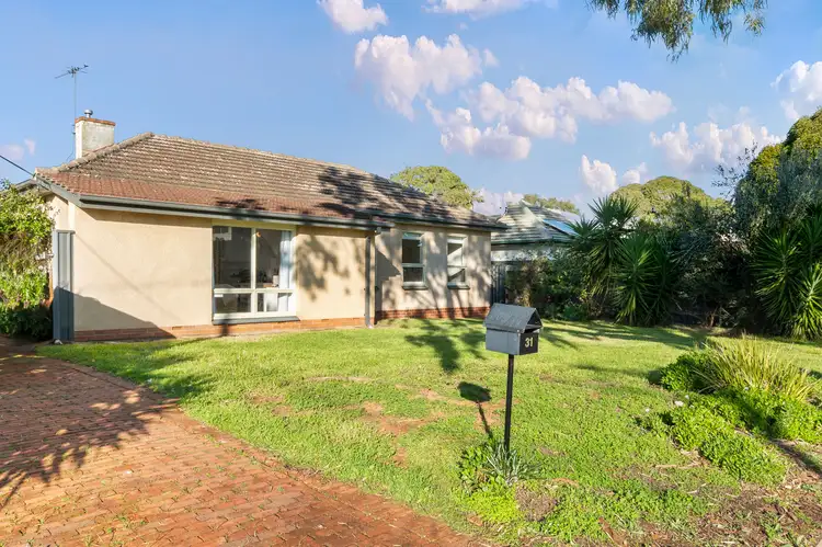 31 Pemberton Street, Oaklands Park SA 5046