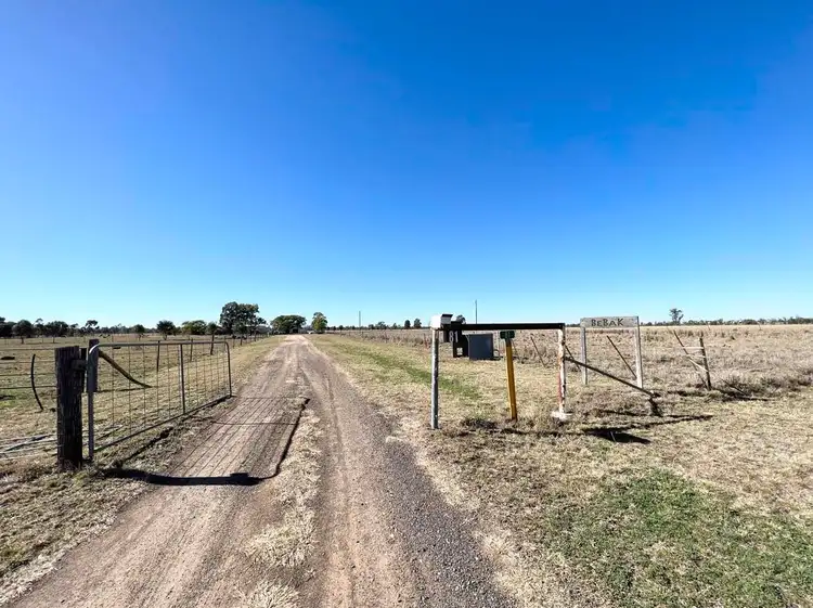 81 Sandalwood Avenue South, Dalby QLD 4405