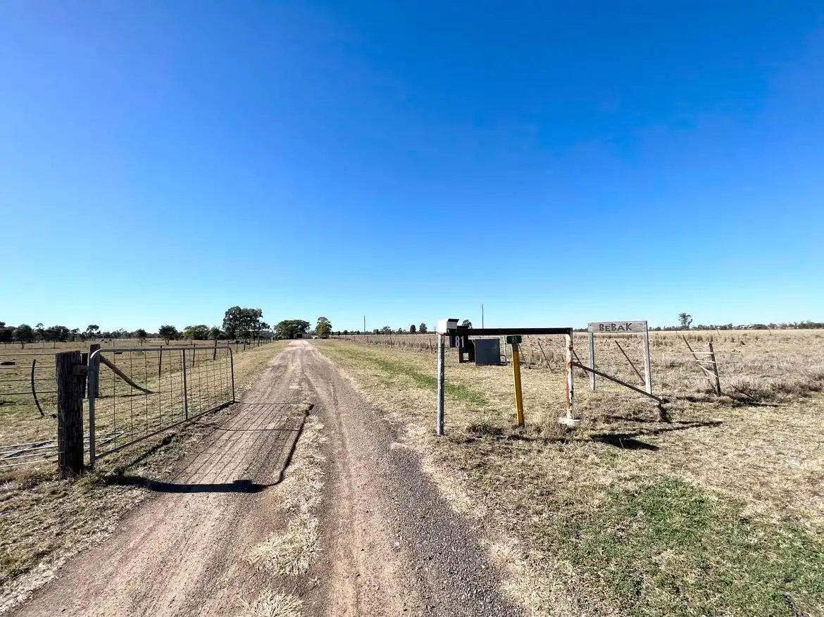 Main view of Homely house listing, 81 Sandalwood Avenue South, Dalby QLD 4405